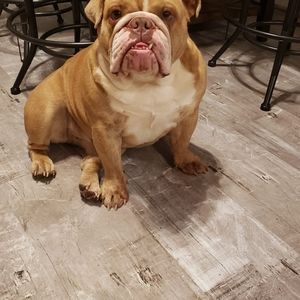 Meet your Posher, Sara